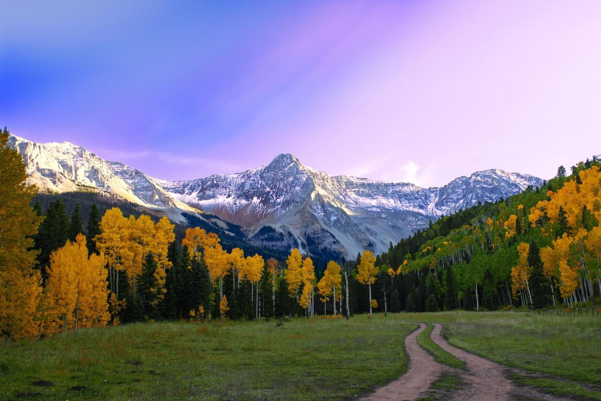 Viking Lodge Telluride Phòng bức ảnh